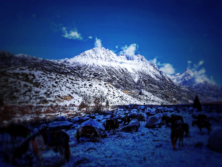 静谧的雪山
