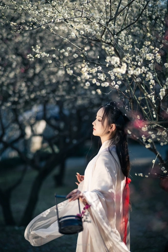 一位穿着白色和服的年轻女子站在盛开的花树前 手里拿着花。