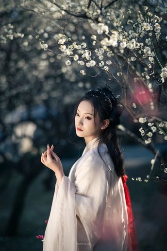 一位穿着和服的美丽女人站在一朵盛开的树下