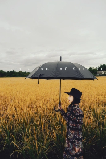 一位站在麦田里的女士拿着一把黑伞