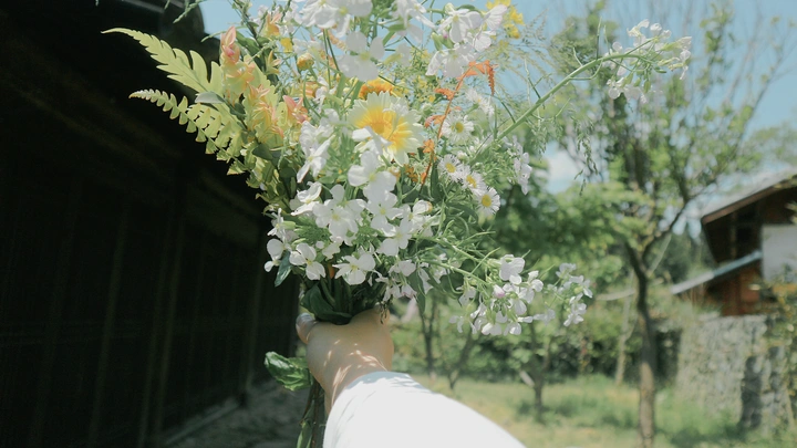 野花的魅力，生命力极强的植物