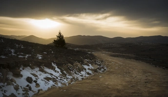 一条被雪覆盖的泥土路旁有一棵树 夕阳下 雪山被雪覆盖。