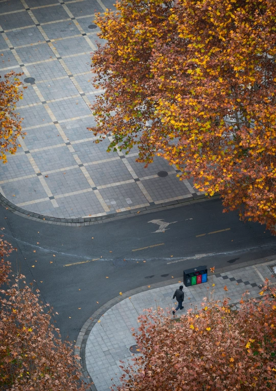 一个人走在树木和建筑旁边的一条街上