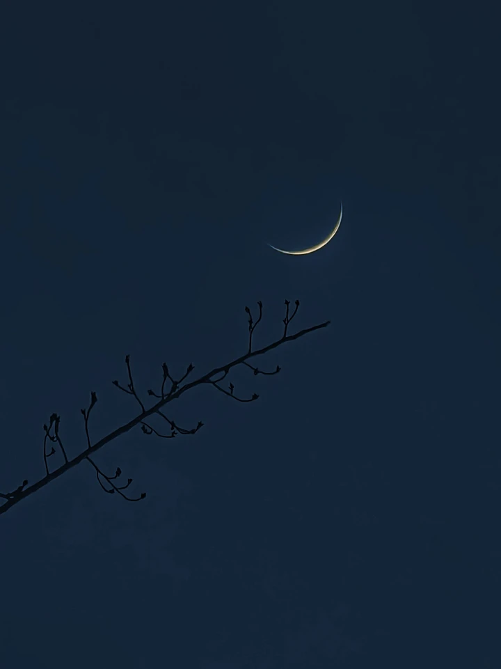 夜之静谧