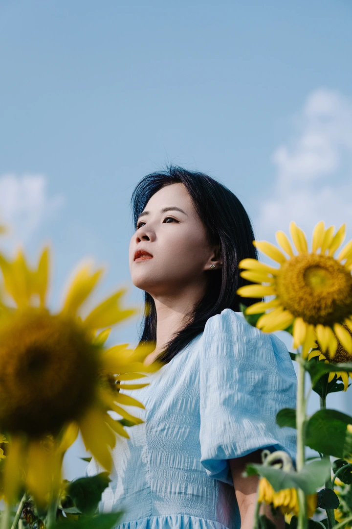 🌻｜向阳而生