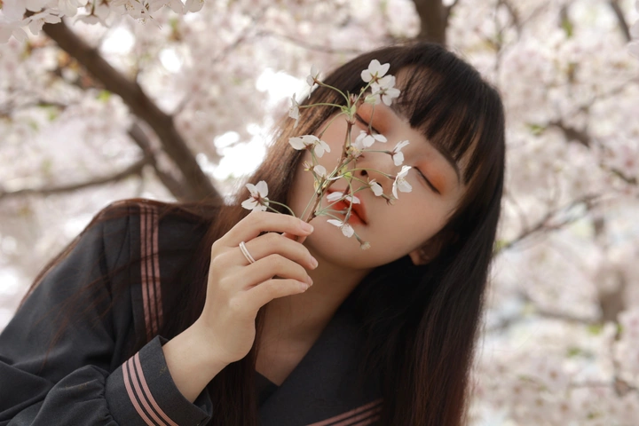 大连樱花🌸