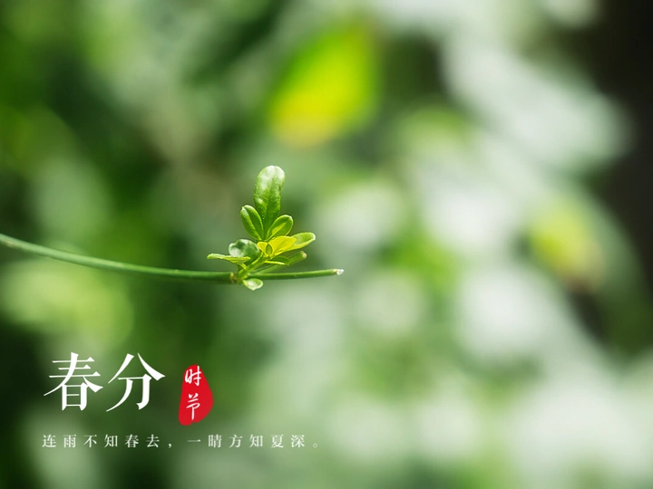 春分