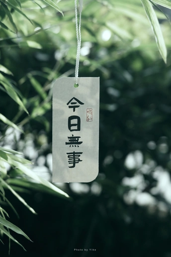 挂在一棵树上的一个饰品 上面挂着符号