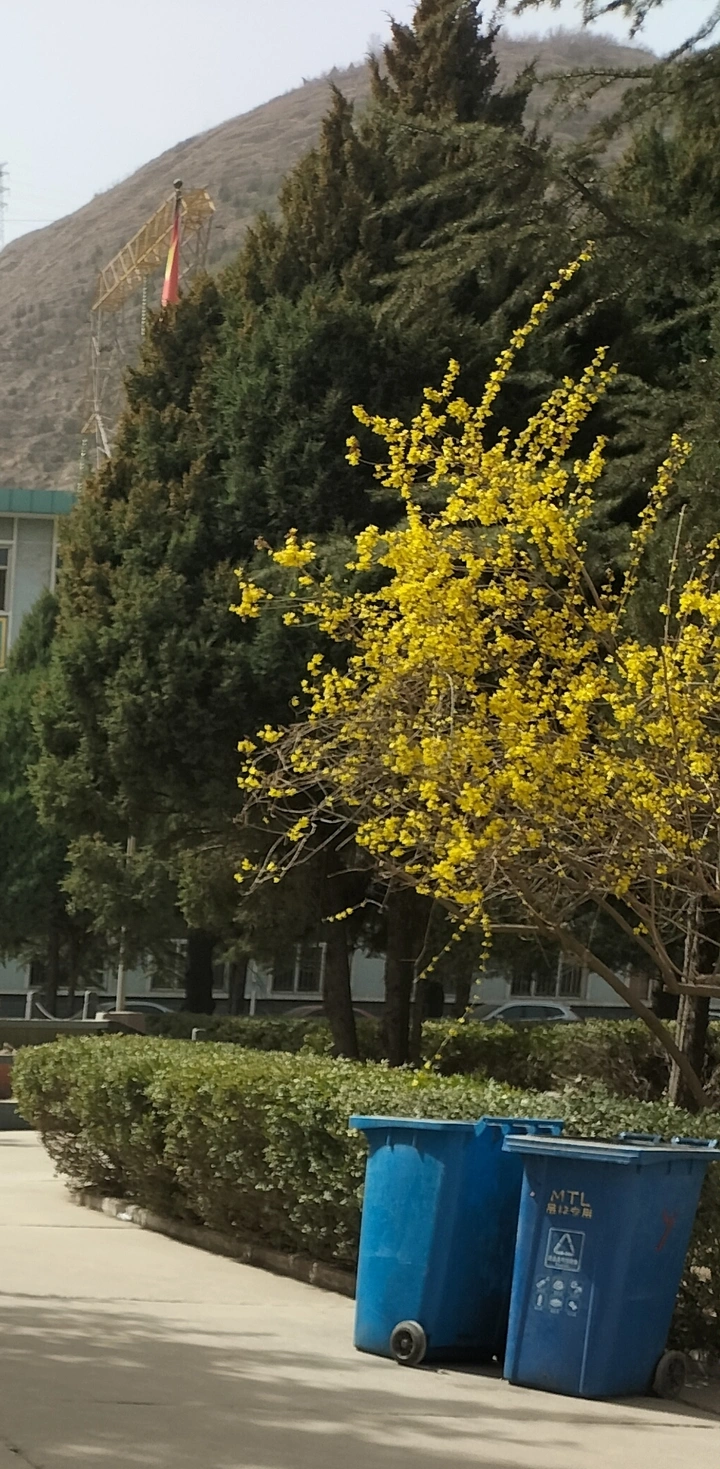 春天