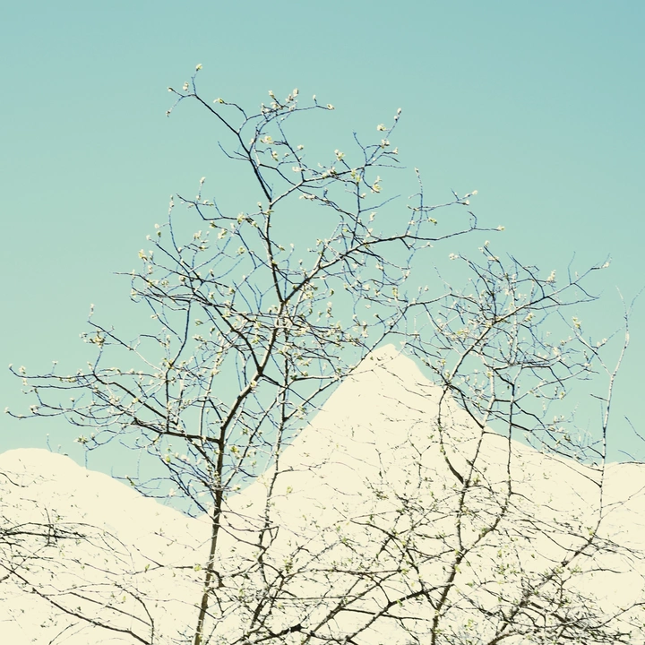 雪山