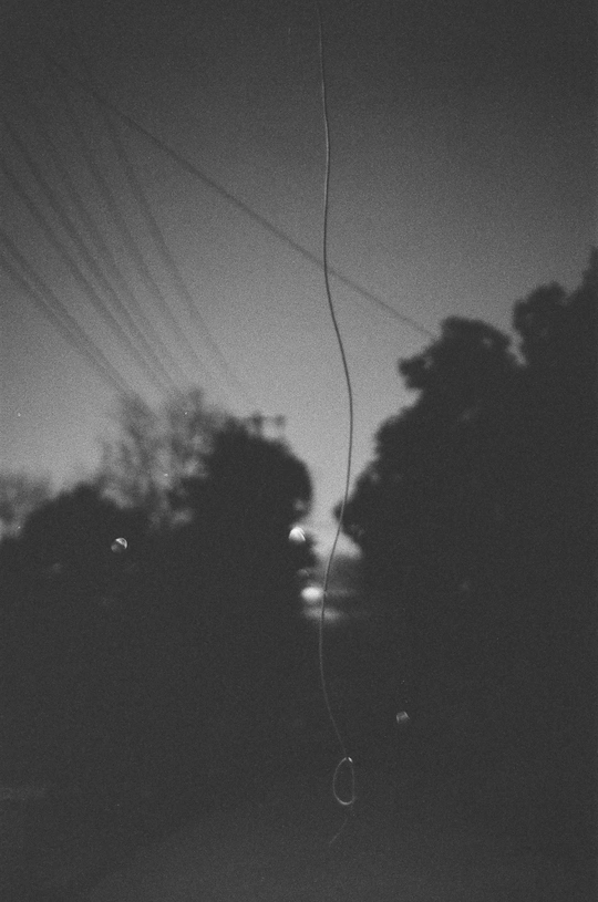 夜晚的黑暗街道黑白照片 有树木和电力线