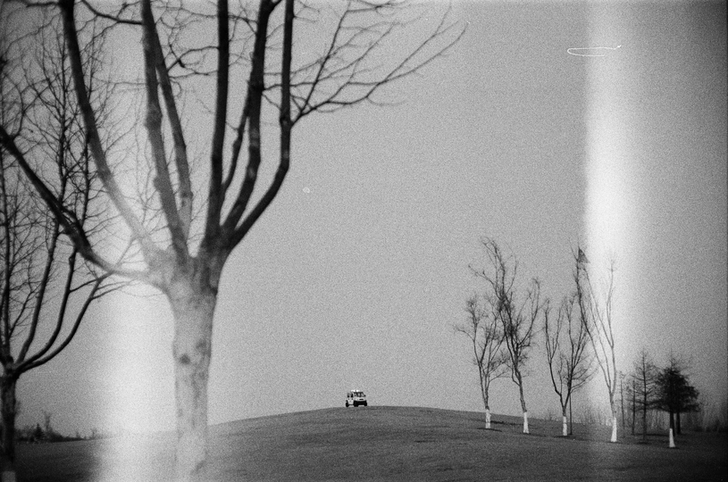 黑白照片 田野 树木 汽车在山丘上