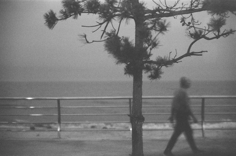 黑白人影在沙滩上行走 背景是松树和海洋。