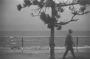 黑白人影在沙滩上行走 背景是松树和海洋。