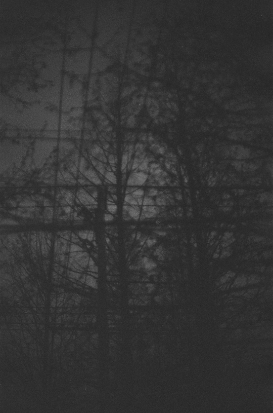 一个黑暗的夜晚 天空中满月 窗前有树。