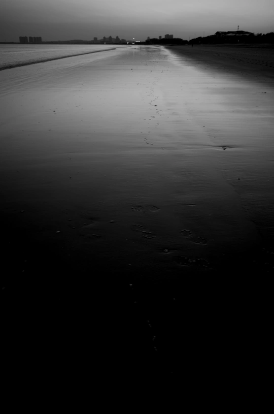 夜晚的海滩 湿沙和水