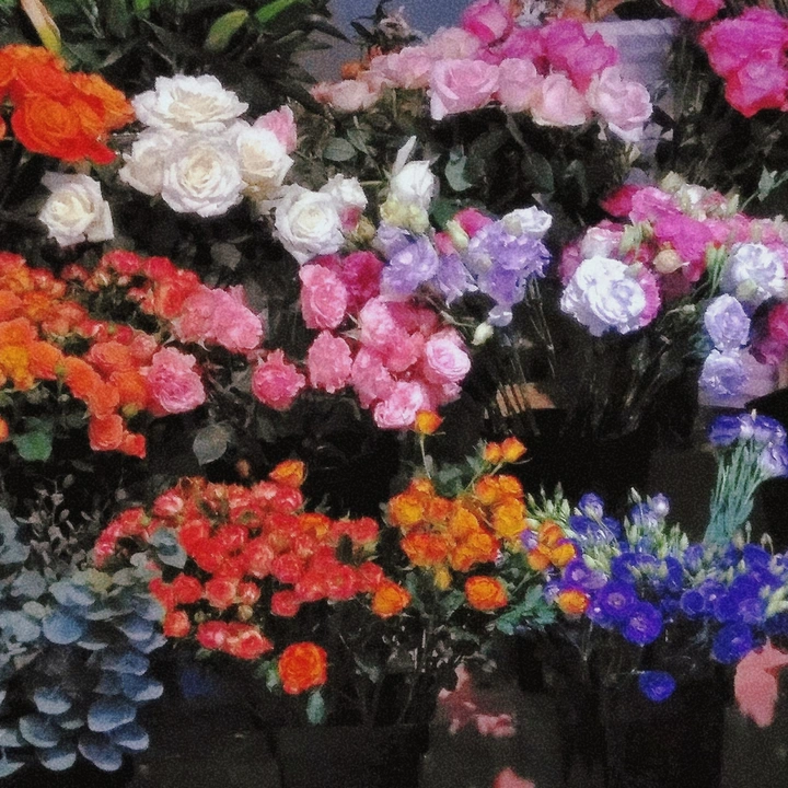 鲜花