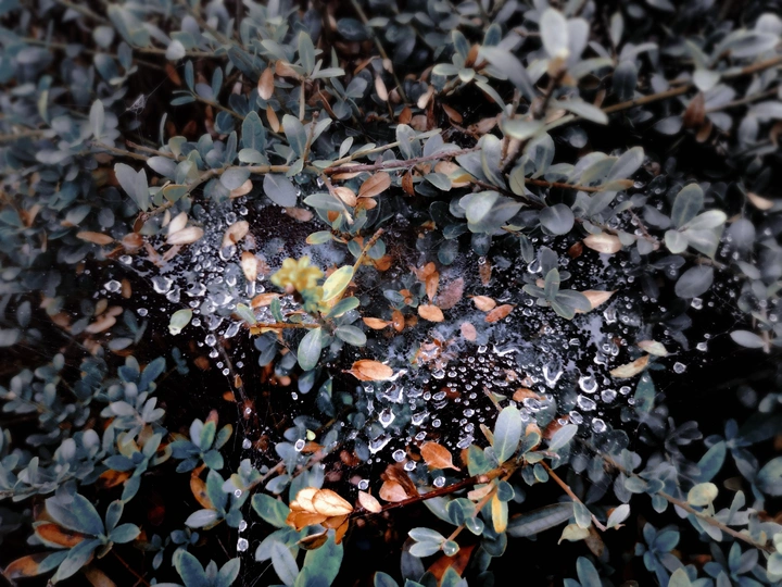 《雨过天晴》