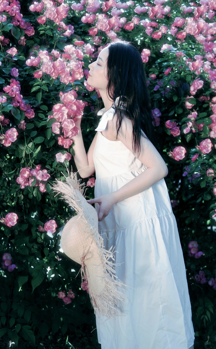 蔷薇花开