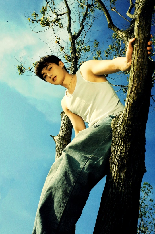 一个年轻人站在树上