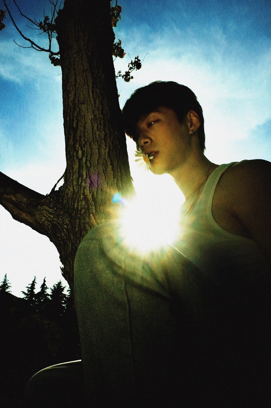 一个年轻人站在树旁 阳光照在坐在他旁边的人身上