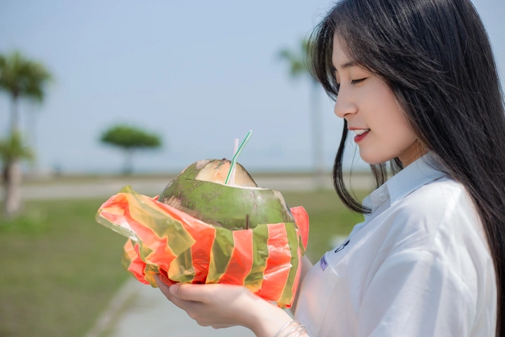 海边的椰子