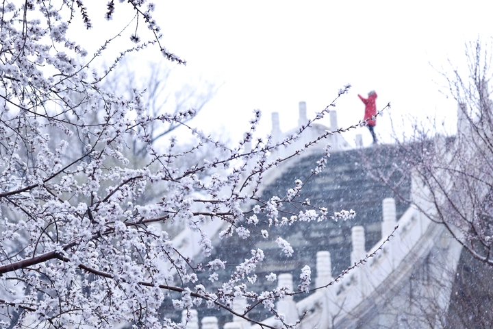 玉带桥春花春雪