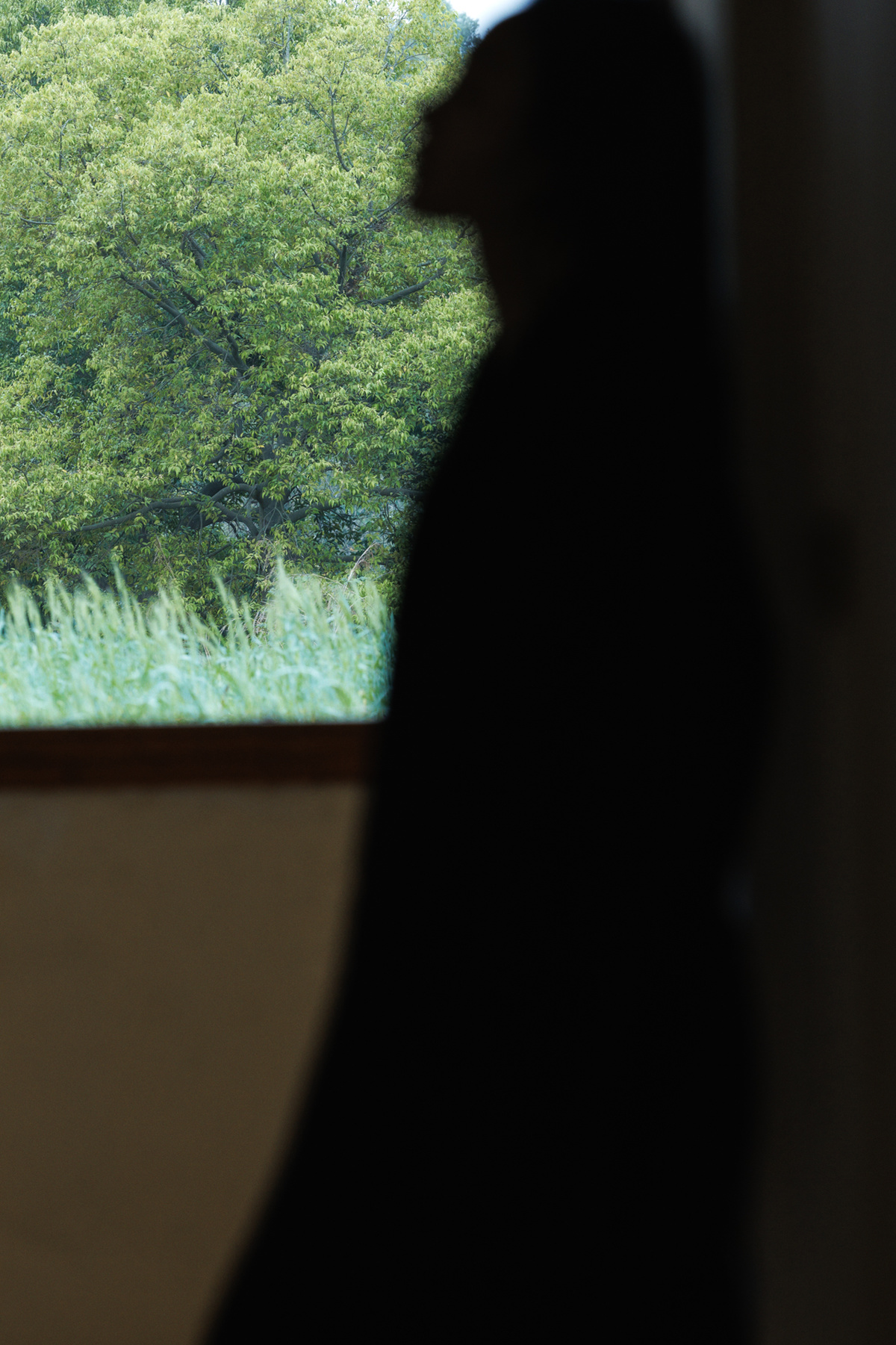 一个人正在窗口向外看 窗外有一只长颈鹿站在一片有树木的草地上。