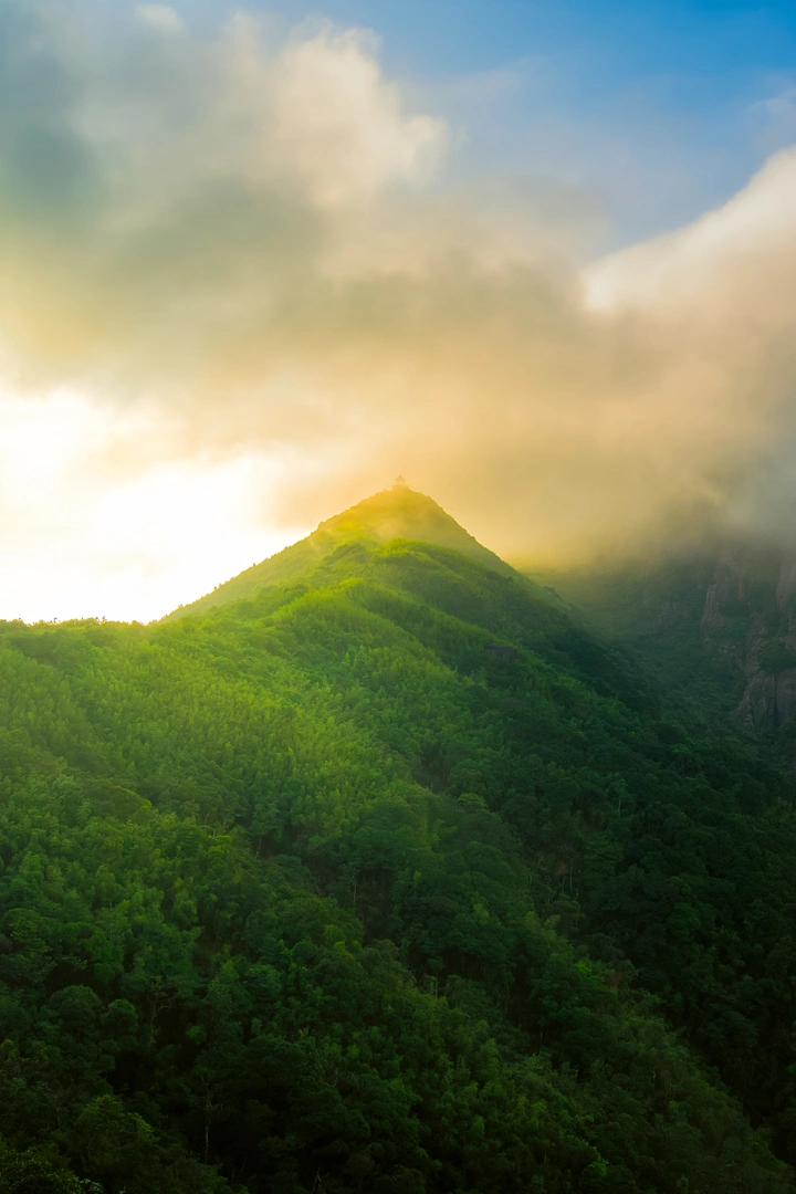雾中仙山