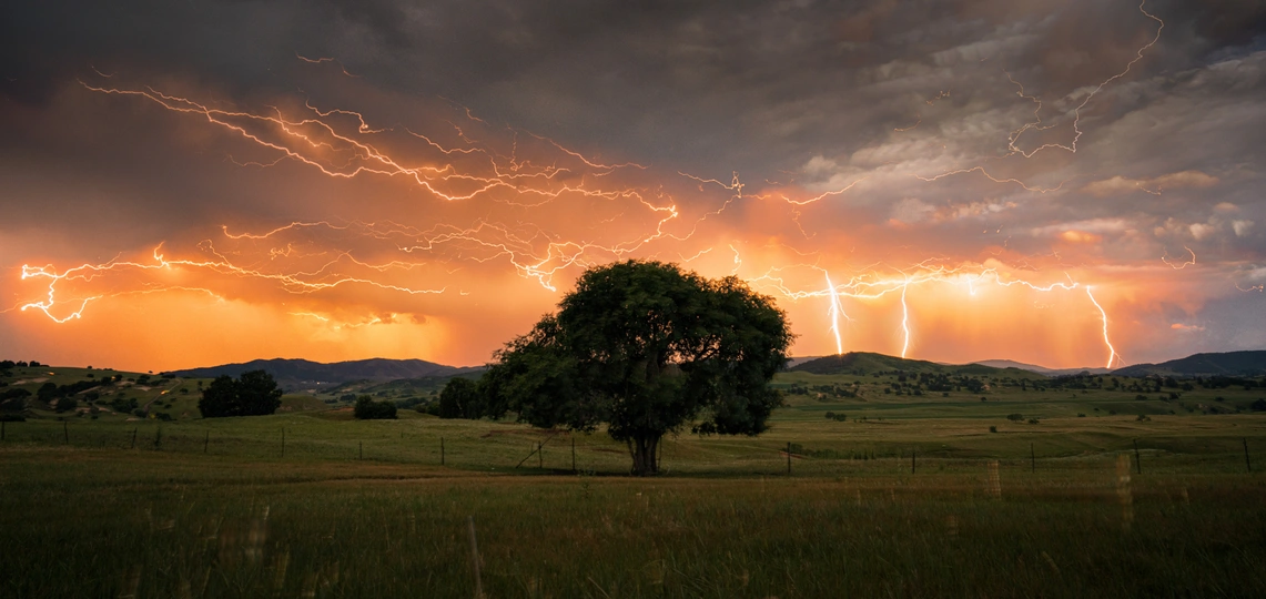 夕阳下的田野中的一棵树 天空中闪电