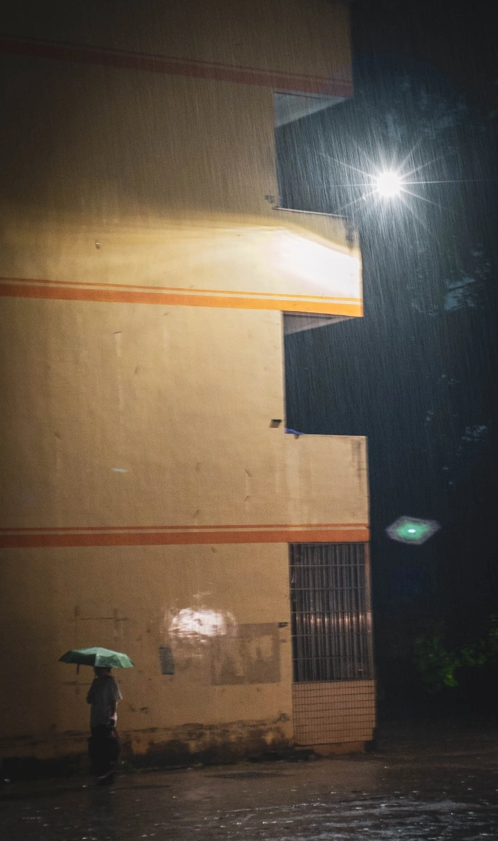 雨