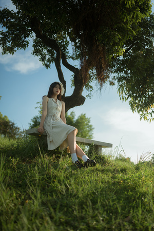 一位穿着白色连衣裙的年轻女子坐在树下的长凳上 长凳位于田野中。