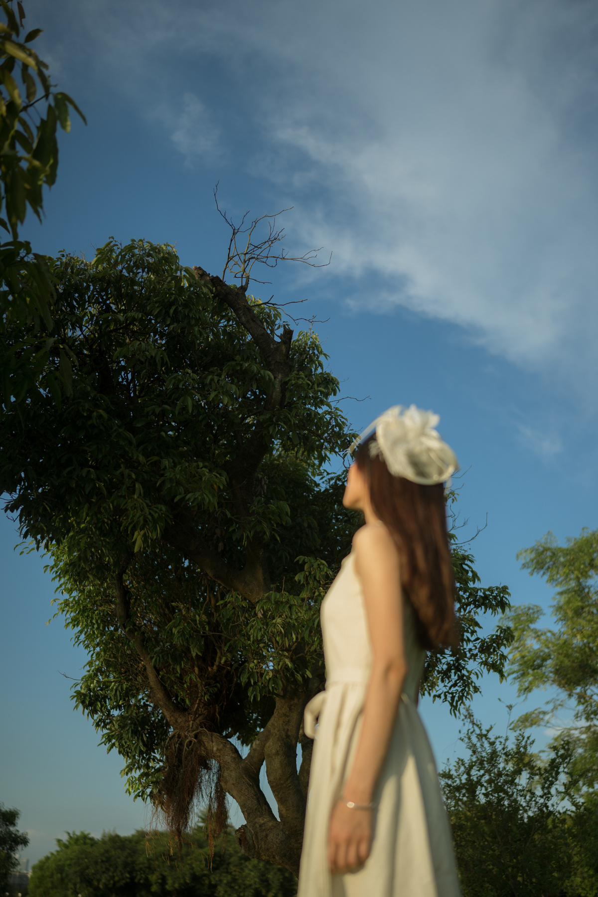 一位穿着白色连衣裙和帽子在蓝天下在田野中行走的年轻女子
