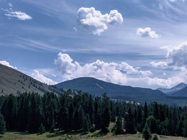 一个山谷 有山丘、树木和天空中飘着云的森林。