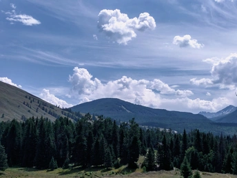 一个山谷 有山丘、树木和天空中飘着云的森林。