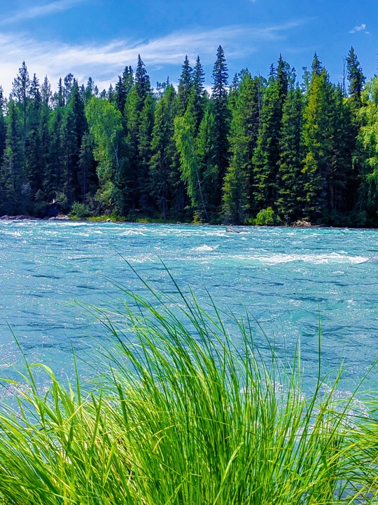 美丽的湖泊 蓝色的水 绿色的草地和树木。
