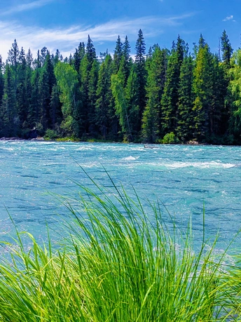 美丽的湖泊 蓝色的水 绿色的草地和树木。