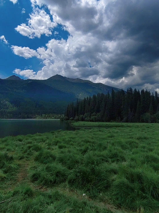 背景是绿色的草地 远处有山 天空中飘着云。