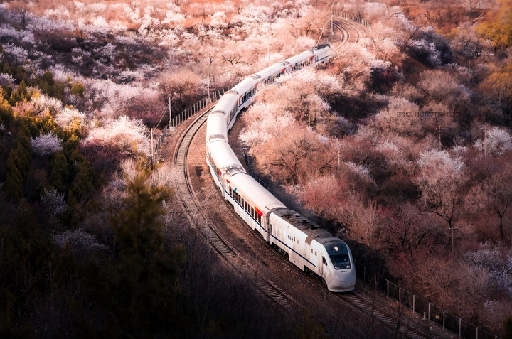 居庸关花海