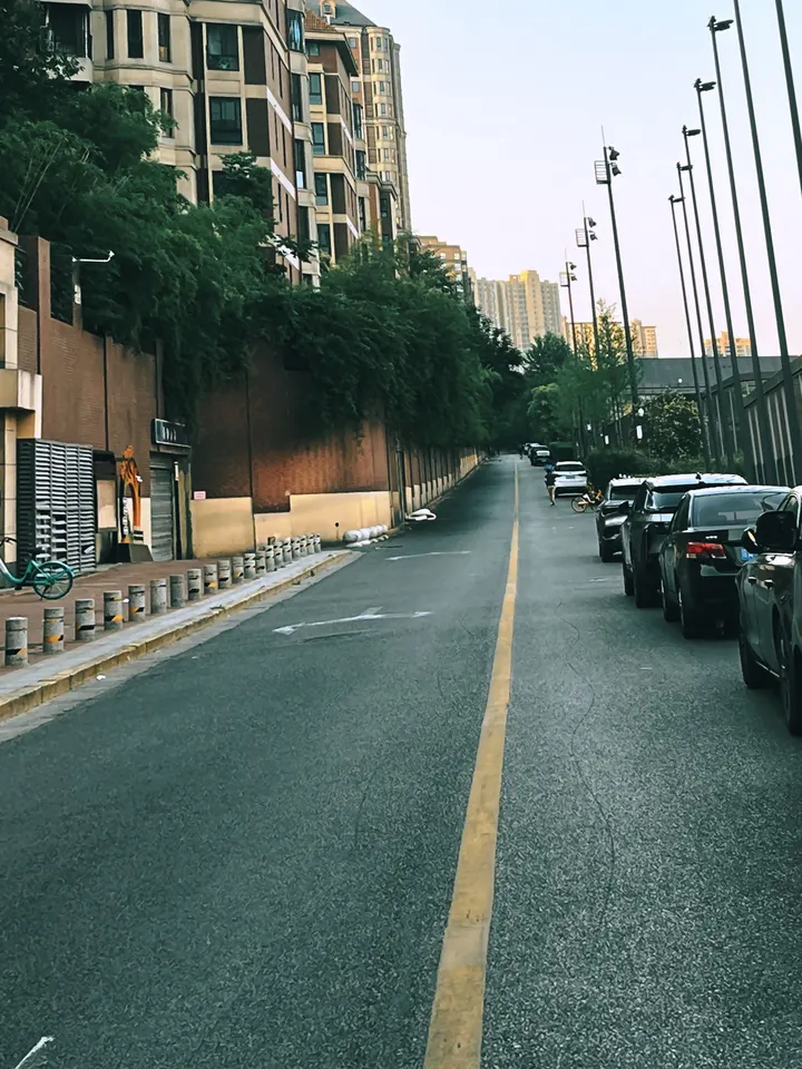这路像人生走着走着就习惯了