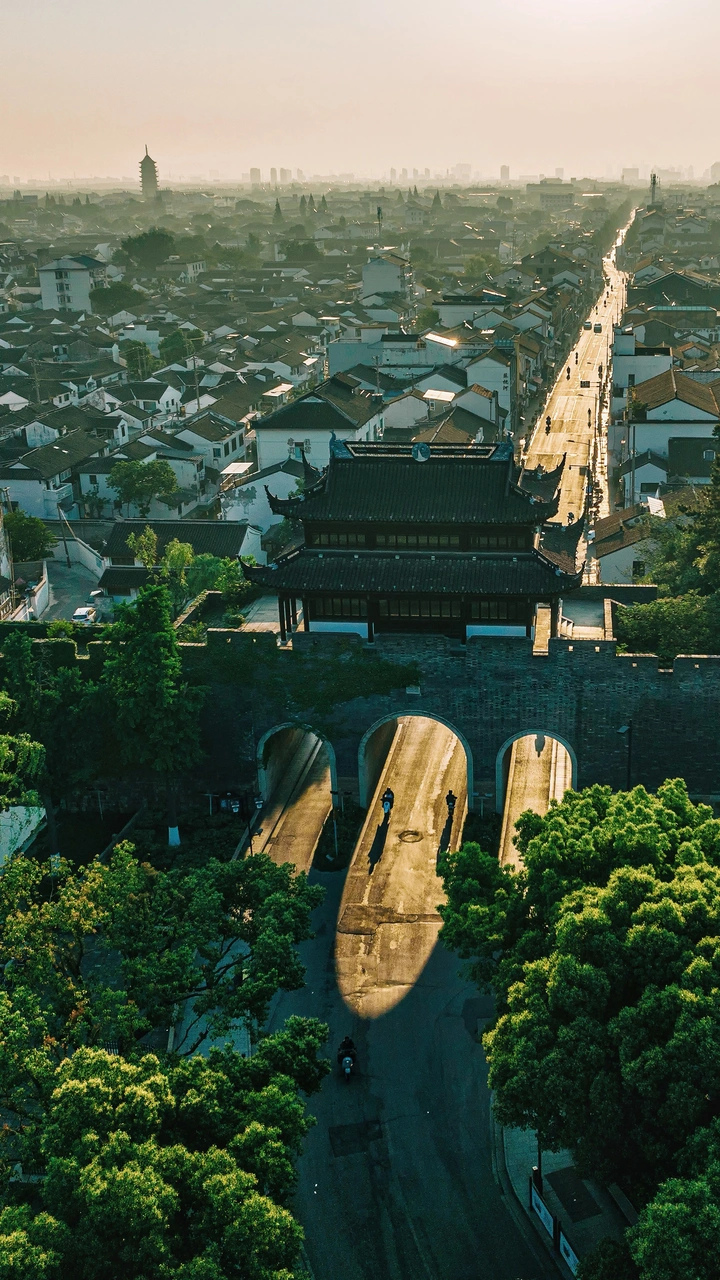 金光大道