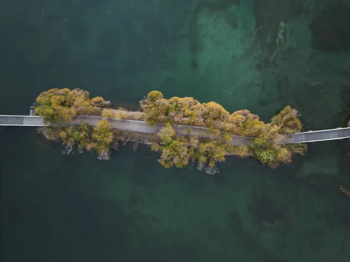一个小岛上的树木和码头在湖泊上的空中视角