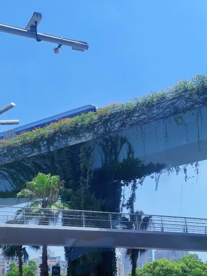 夏的尾巴