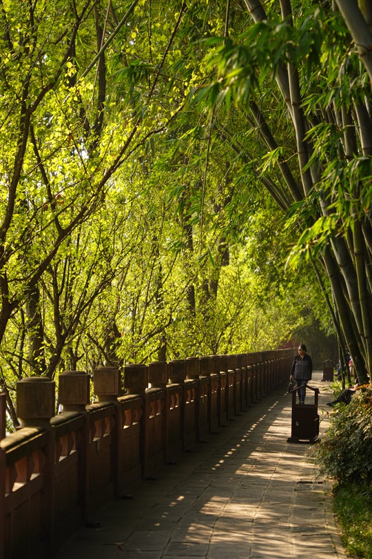 一个人拿着行李箱走在森林小径上 周围有树木和围栏。