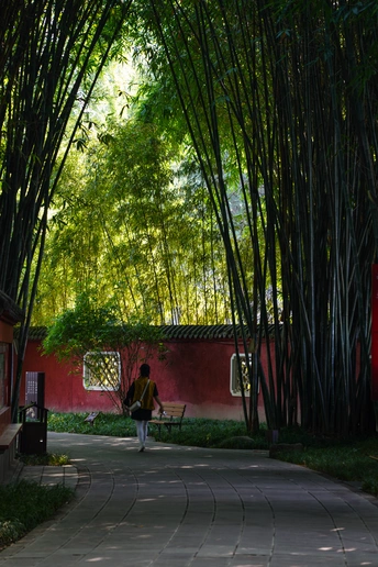 一个人沿着一条小路 带着一张红色的长凳和树木。