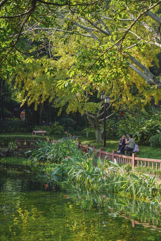 一些人在一个靠近水体的木凳上坐着 水流入池塘或湖泊。
