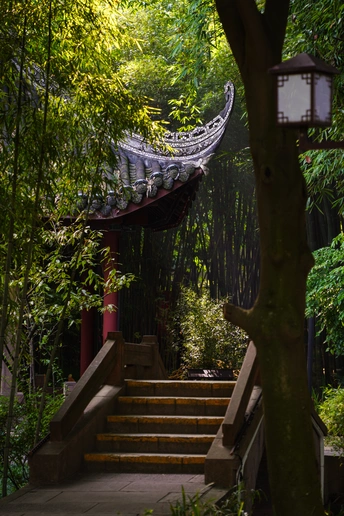 通往森林中一些树木和吊床的楼梯路径