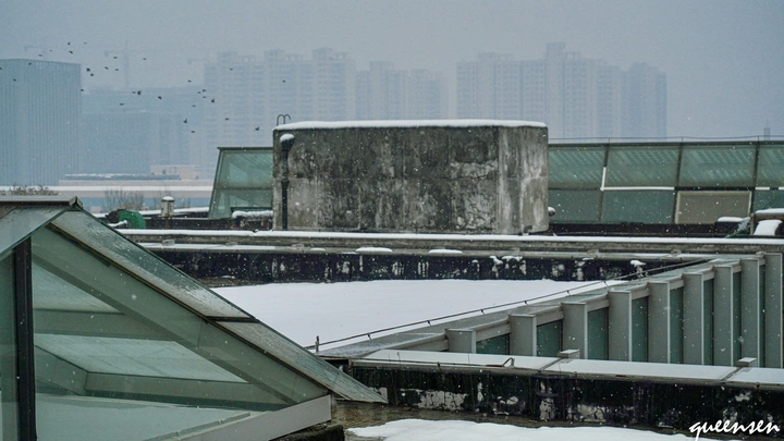 记录一场雪