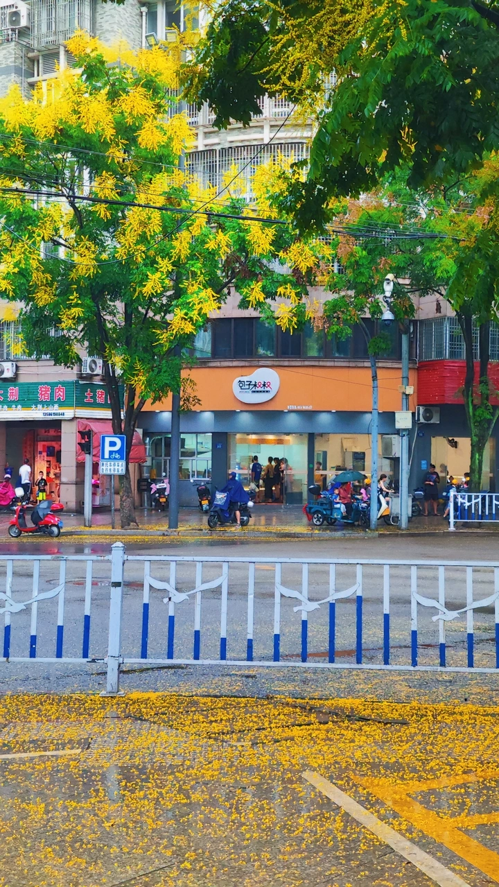 又一年的秋天