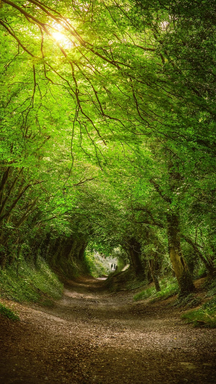 治愈系风景，你爱了吗？第二弹